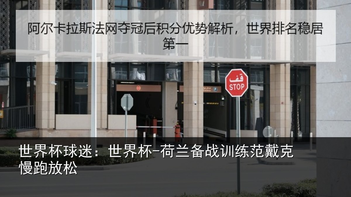 世界杯球迷:世界杯-荷兰备战训练范戴克慢跑放松