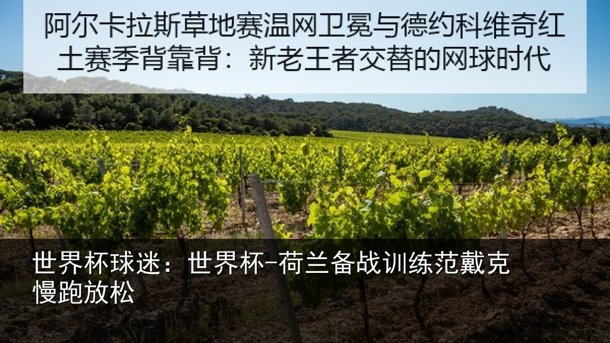 世界杯球迷：世界杯-荷兰备战训练范戴克慢跑放松
