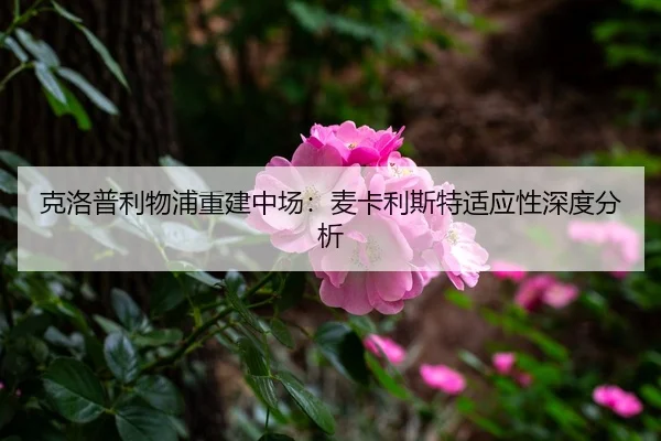 ke-luo-pu-li-wu-pu-chong-jian-zhong-chang-mai-ka-li-si-te-shi-ying-xing-shen-du-fen-xi-3-947.jpg