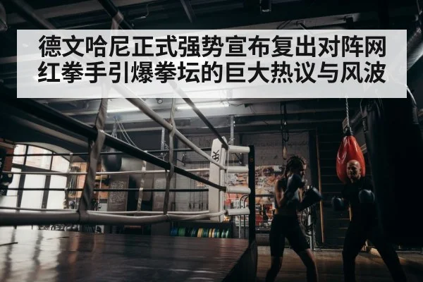 boxer training